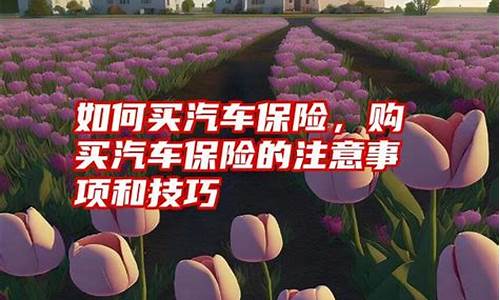 汽车车上乘客险买多少合适-如何买汽车保险